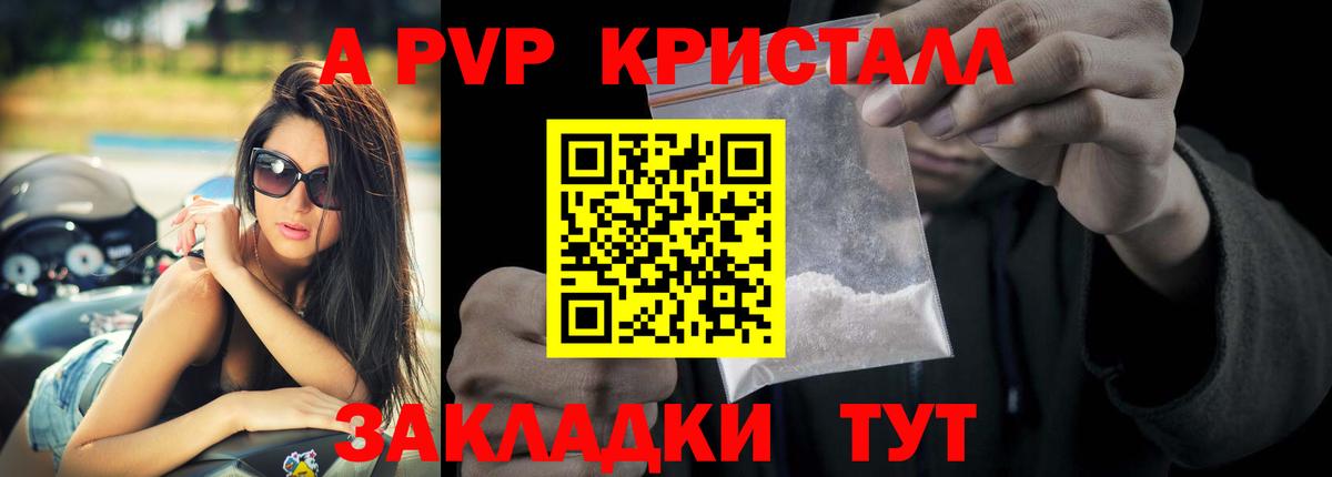 A PVP СК КРИС Краснодар
