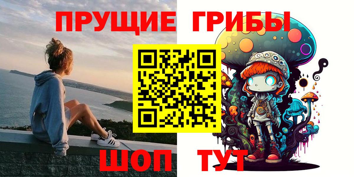 Псилоцибиновые грибы Cubensis Краснодар
