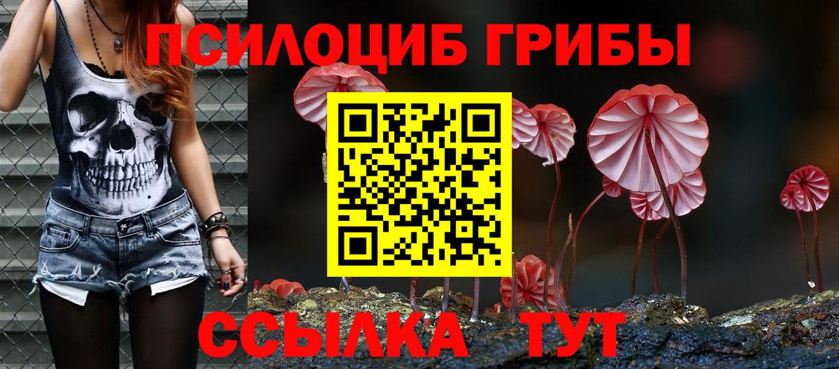 Краснодар  Галлюциногенные грибы GOLDEN TEACHER  Вход с VPN 